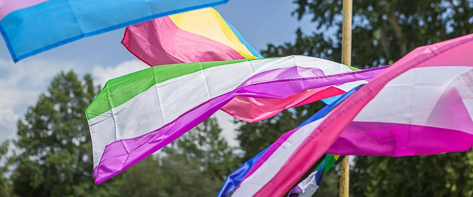 Improving LGBTQ+ Healthcare in Northwest Louisiana